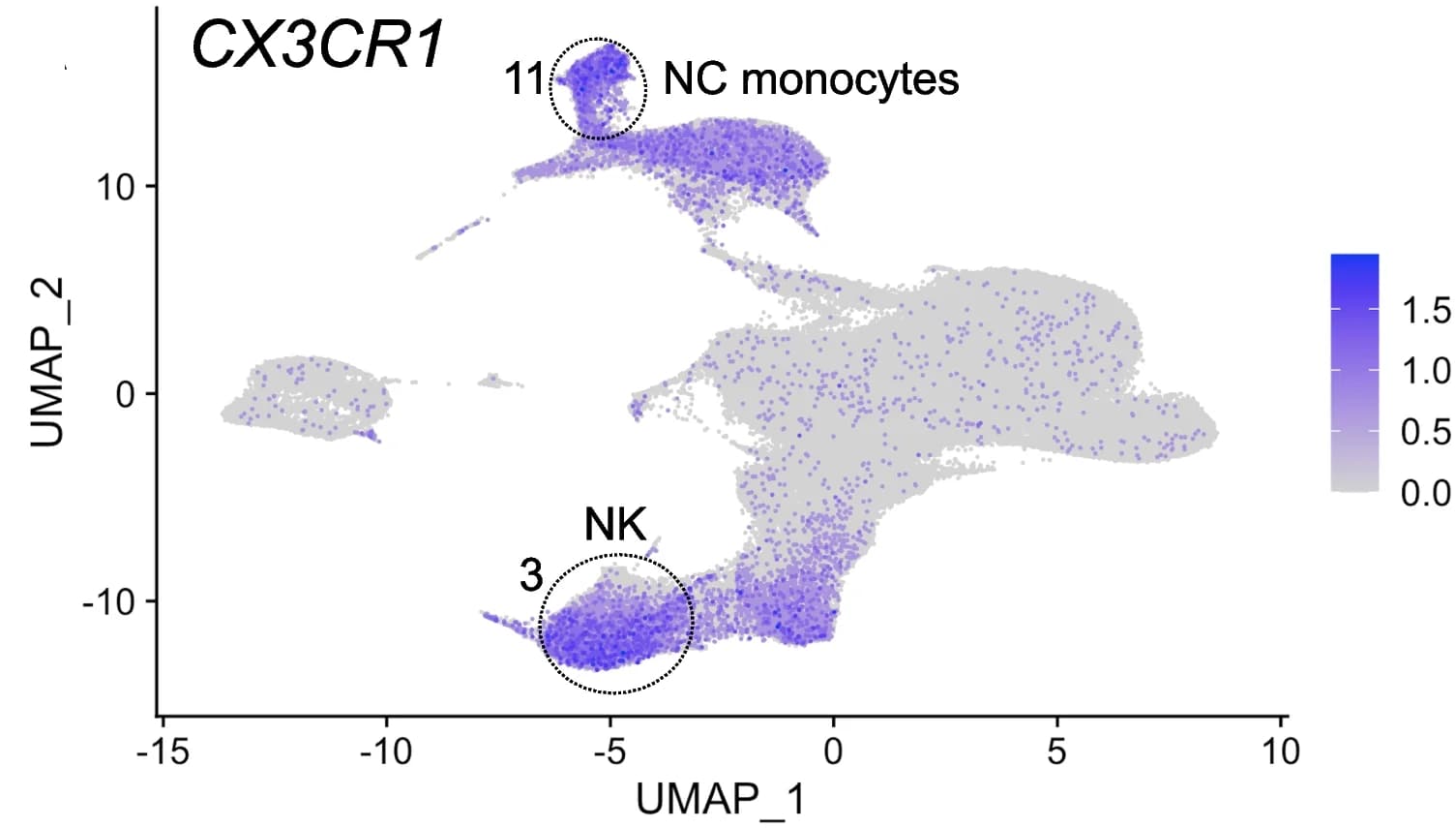 Open access visualization of UMAP, Scatter Plot, CX3CR1, Monocytes, NK Cells