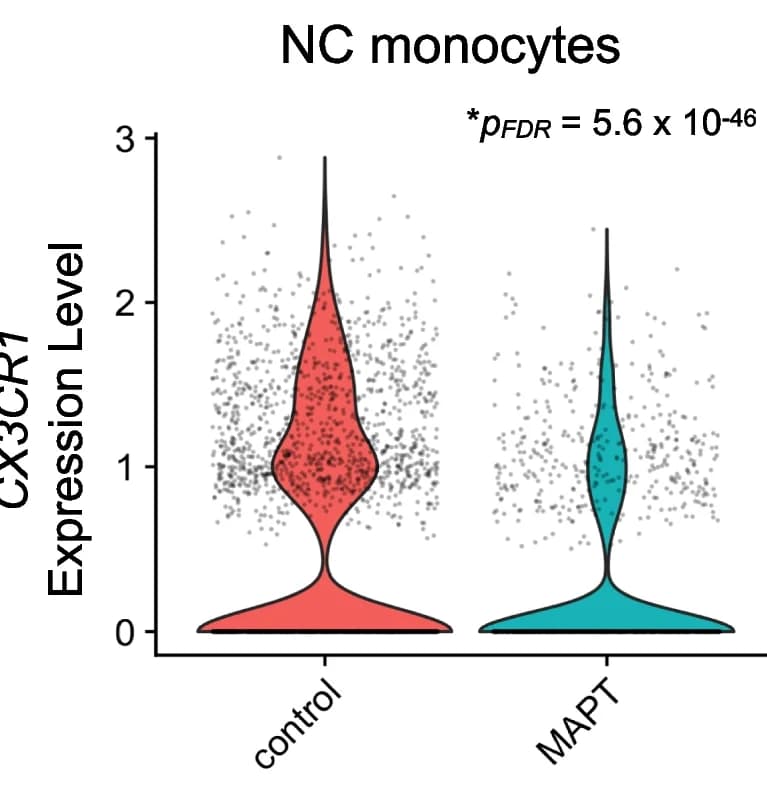 Open access visualization of Violin Plot, Scatter Plot, Monocytes, CX3CR1, Expression