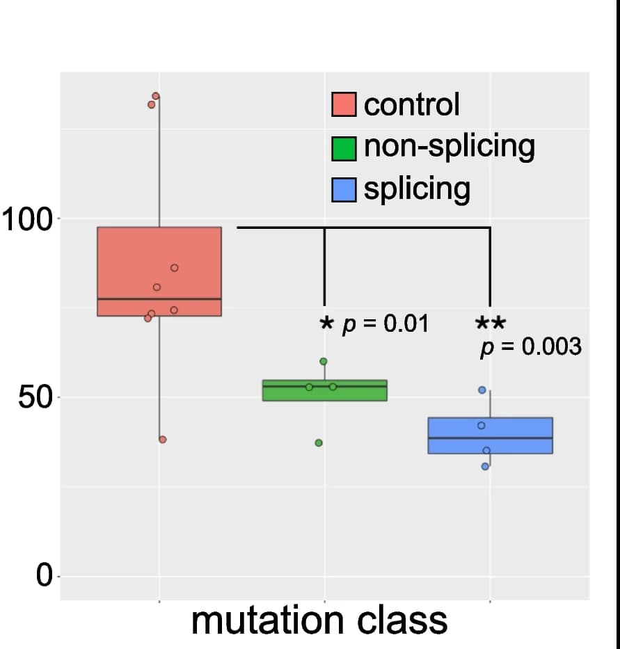 Open access visualization of Box Plot, MAPT, Variant Class, CX3CR1, PBMCs