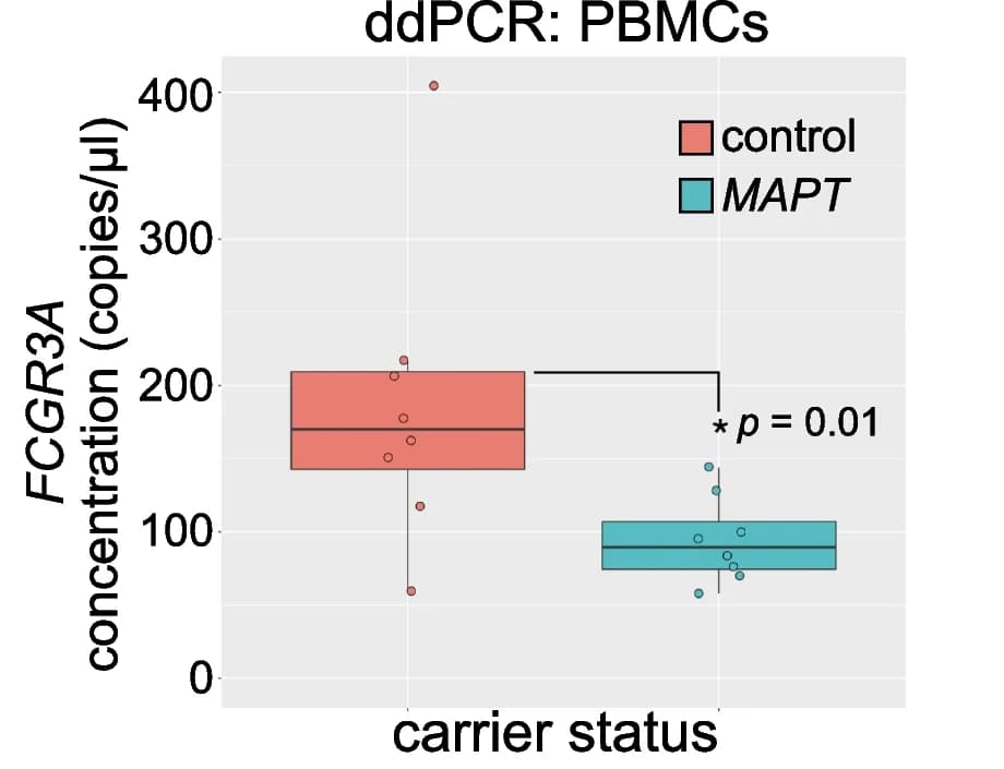 Open access visualization of Box Plot, Scatter Plot, FCGR3A, MAPT Variant Carriers, PBMCs