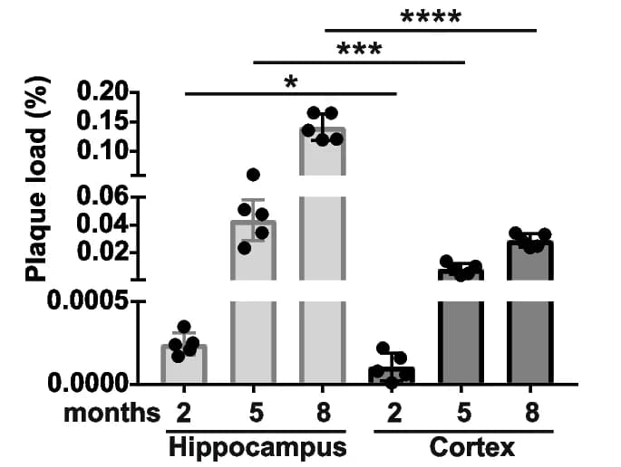 Open access visualization of Bar Plot, Error Bars, Scatter Plot, Plaque Load, Hippocampus