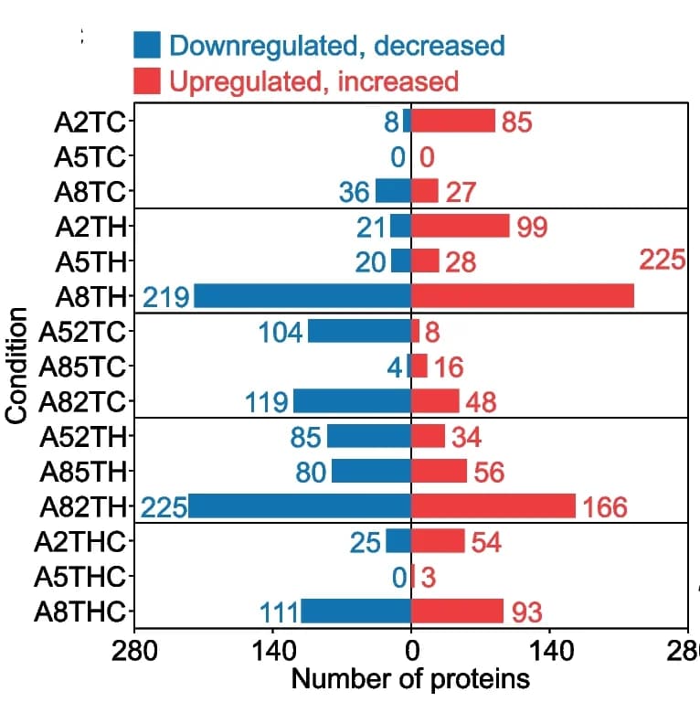 Open access visualization of Bar Plot, Differentially Regulated Proteins, Transgene Effect, Cortex, Hippocampus