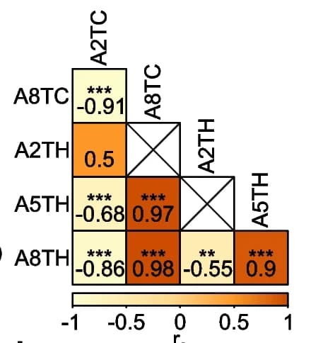 Open access visualization of Heatmap, Correlation Analysis, Differentially Expressed Proteins, Spearman Correlation Coefficients, P-Values