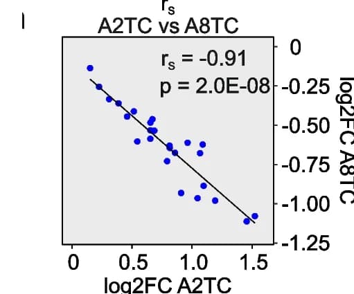 Open access visualization of Scatter Plot, Regression Plot, Spearman Correlation, Inverse Correlation