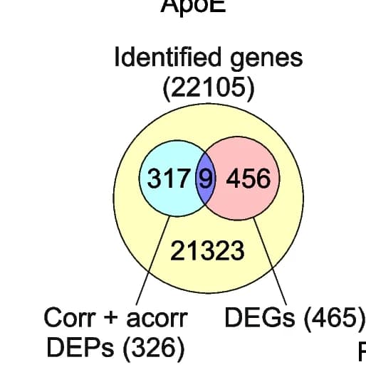 Open access visualization of Venn Diagram, Differentially expressed genes, A aggregate, DEPs