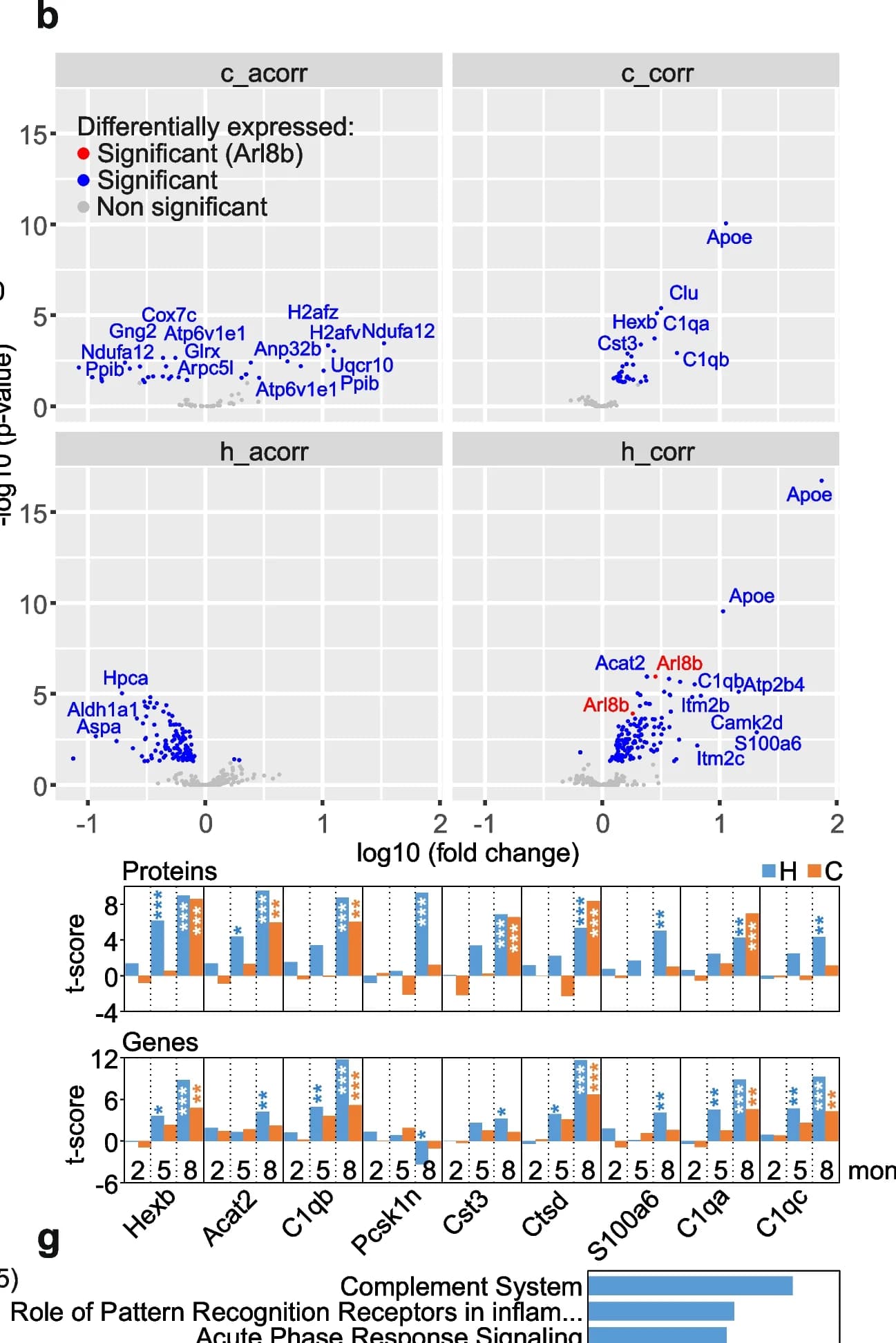 Open access visualization of Volcano Plot, Bar Plot, Molecules, Protein levels, Transcript levels