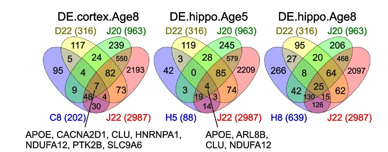 Open access visualization of Venn Diagram, 5xFAD Mice, Postmortem AD Patients, DEPs, Cortical Tissue