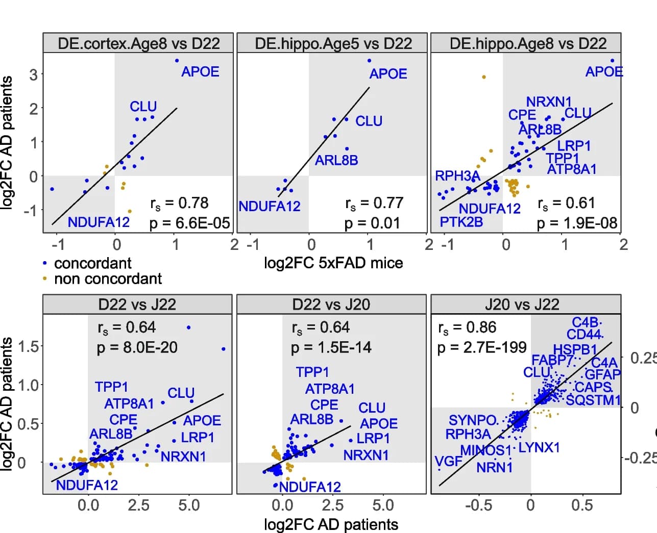 Open access visualization of Scatter Plot, Regression Plot, Spearman Correlation, Dysregulated Proteins, 5xFAD Mice