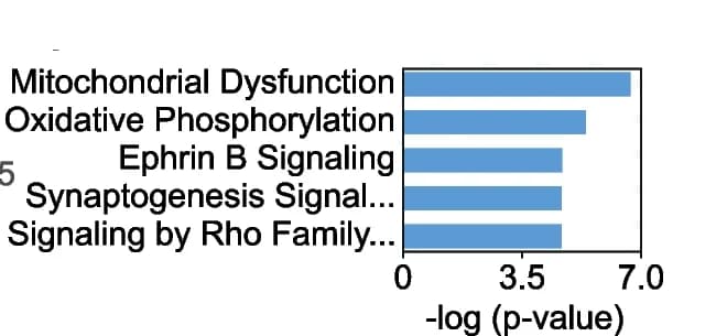 Open access visualization of Bar Plot, Ingenuity Pathway Analysis, Dysregulated Proteins, DEPs, Canonical Pathways