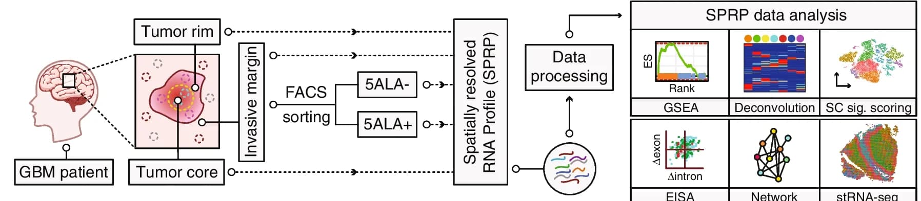 Open access visualization of Workflow, Illustration, Line Plot, Heatmap, Scatter Plot