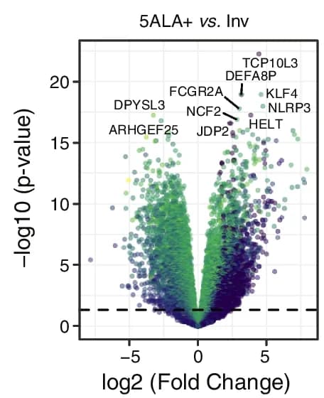 Open access visualization of Volcano Plot, Scatter Plot, Differential Gene Expression, Invasive Margin