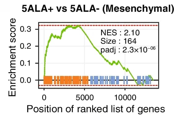 Open access visualization of Line Plot, Bar Plot, GSEA Plot, GBM Mesenchymal Subtype, 5ALA + Cells