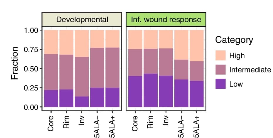 Open access visualization of Stacked Bar Plot, Transcriptional Program, GBM Samples, Developmental, Inflammatory Wound Response