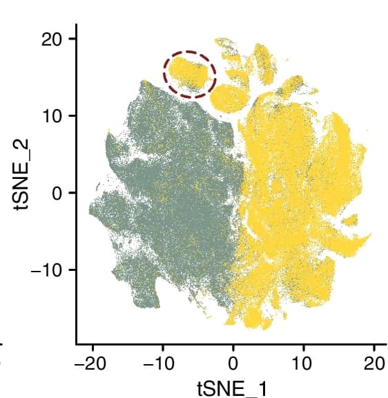 Open access visualization of Scatter Plot, UMAP, PCA, Copy Number Variation, Aneuploid