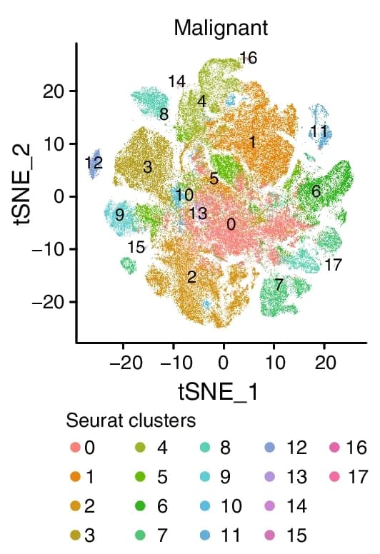 Open access visualization of Scatter Plot, UMAP, PCA, Louvain Clustering, Single-Cell RNA-seq