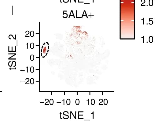 Open access visualization of Scatter Plot, UMAP, tSNE Plot, GBmap, UCell Scores