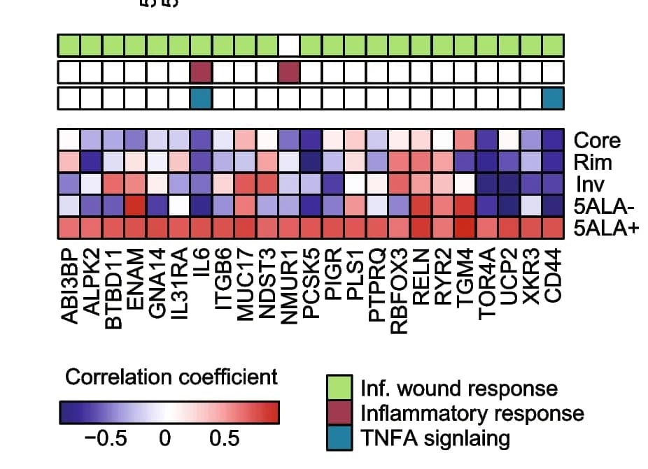 Open access visualization of Heatmap, Pearson correlation coefficient, mRNA stemness index, mRNA expression, Genes