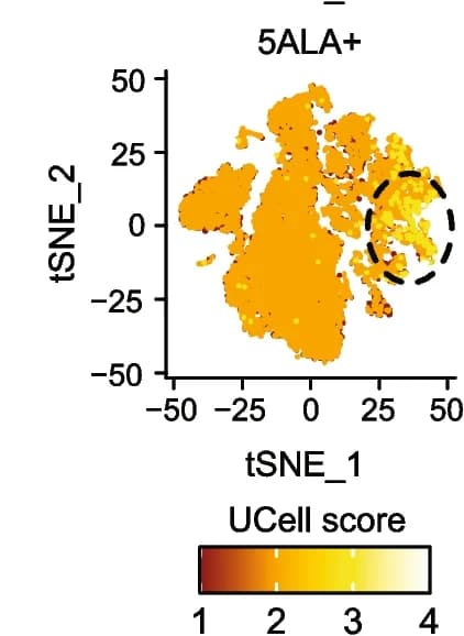 Open access visualization of Scatter Plot, UMAP, PCA, tSNE clustering plots, scRNA-seq dataset