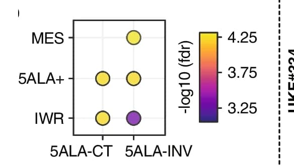 Open access visualization of Scatter Plot, GSEA, Bubble plot, Enrichment scores
