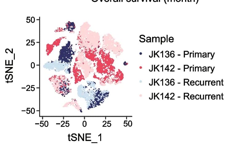 Open access visualization of Scatter Plot, UMAP, PCA, tSNE, Louvain Clustering