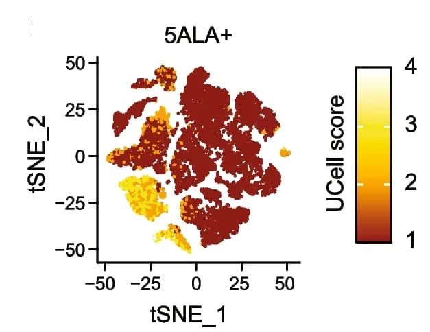 Open access visualization of Scatter Plot, UMAP, UCell Score, tSNE