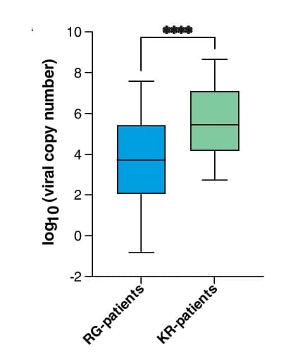 Open access visualization of Box Plot, Viral Copy Numbers, RG-Patients, KR-Patients, RT-qPCR
