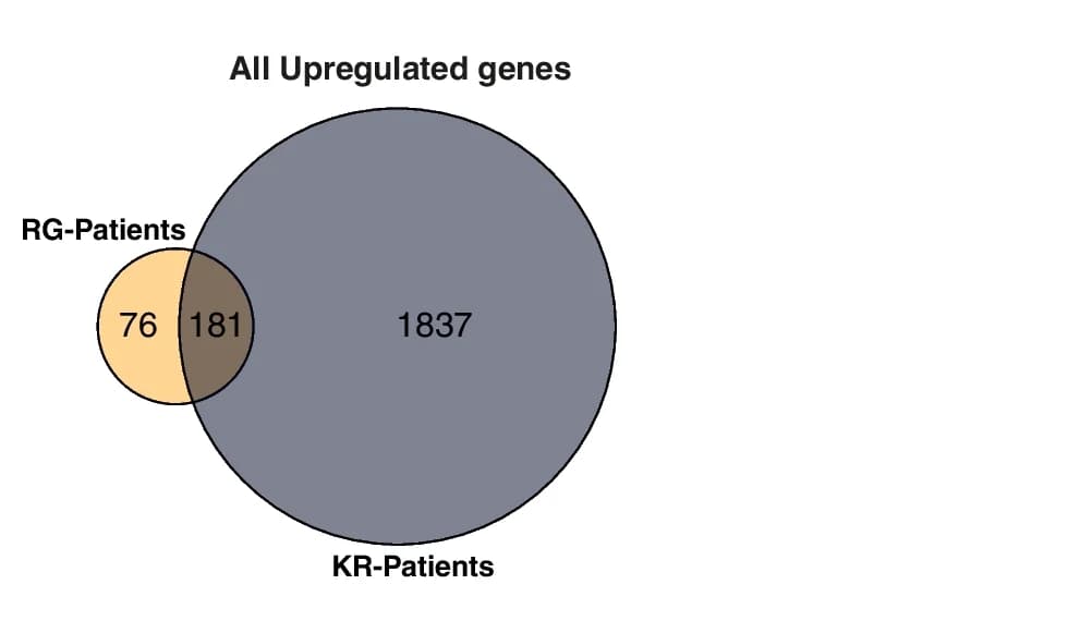 Open access visualization of Venn Diagram, Up-regulated genes, KR-patients, RG-patients