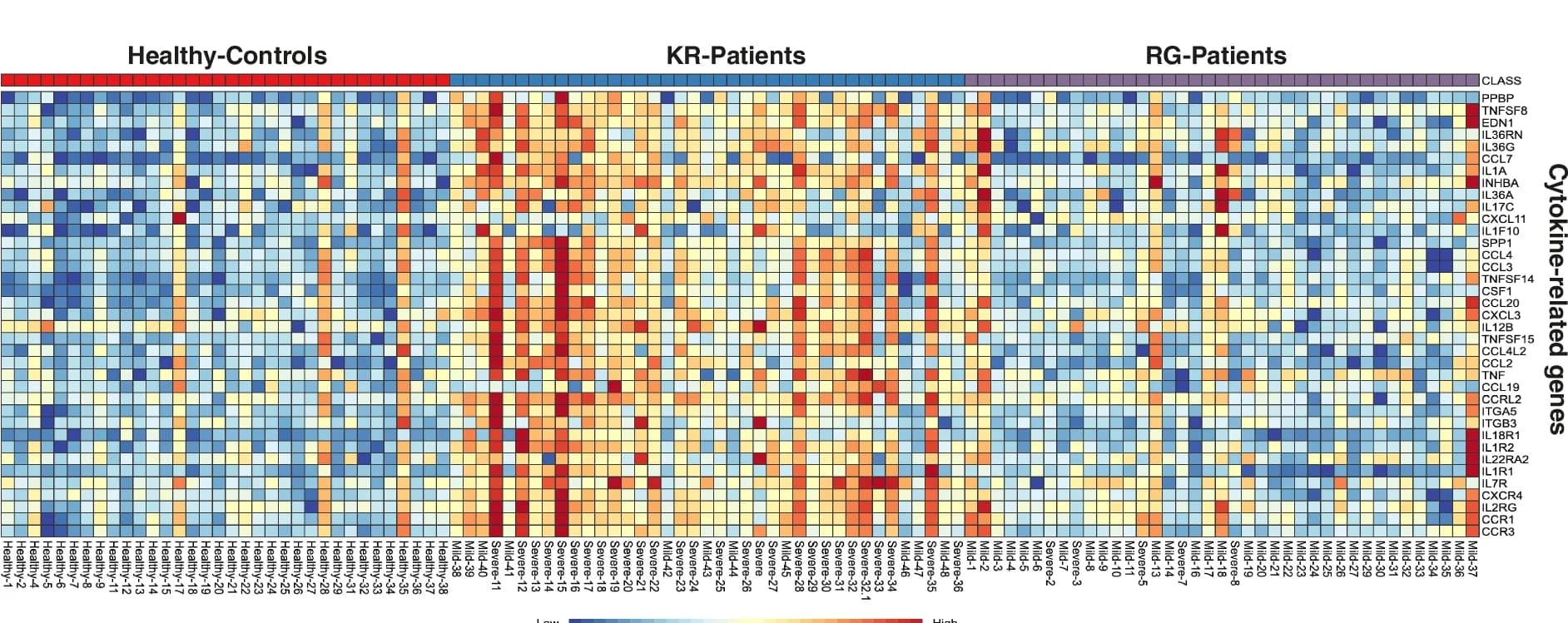 Open access visualization of Heatmap, Differentially expressed genes, Cytokine-related genes, KR-Patients, RG-Patients