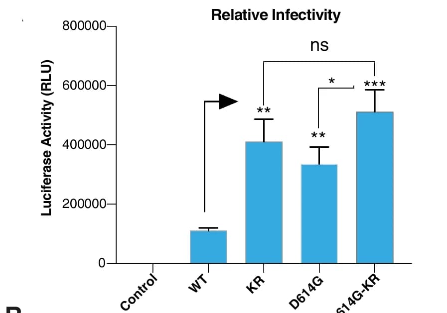 Open access visualization of Bar Plot, Error Bars, Luciferase Detection Assay, Infectivity, Virus-Like Particles