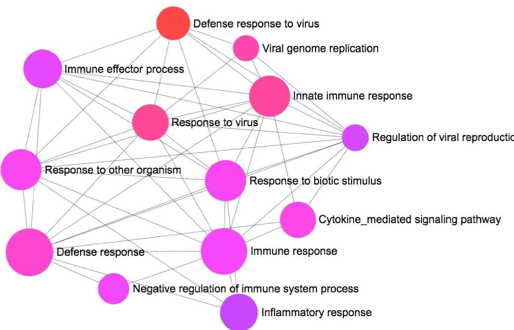 Open access visualization of Network, Pathway, GO-Enrichment Analysis, Biological Processes, Up-Regulated Genes