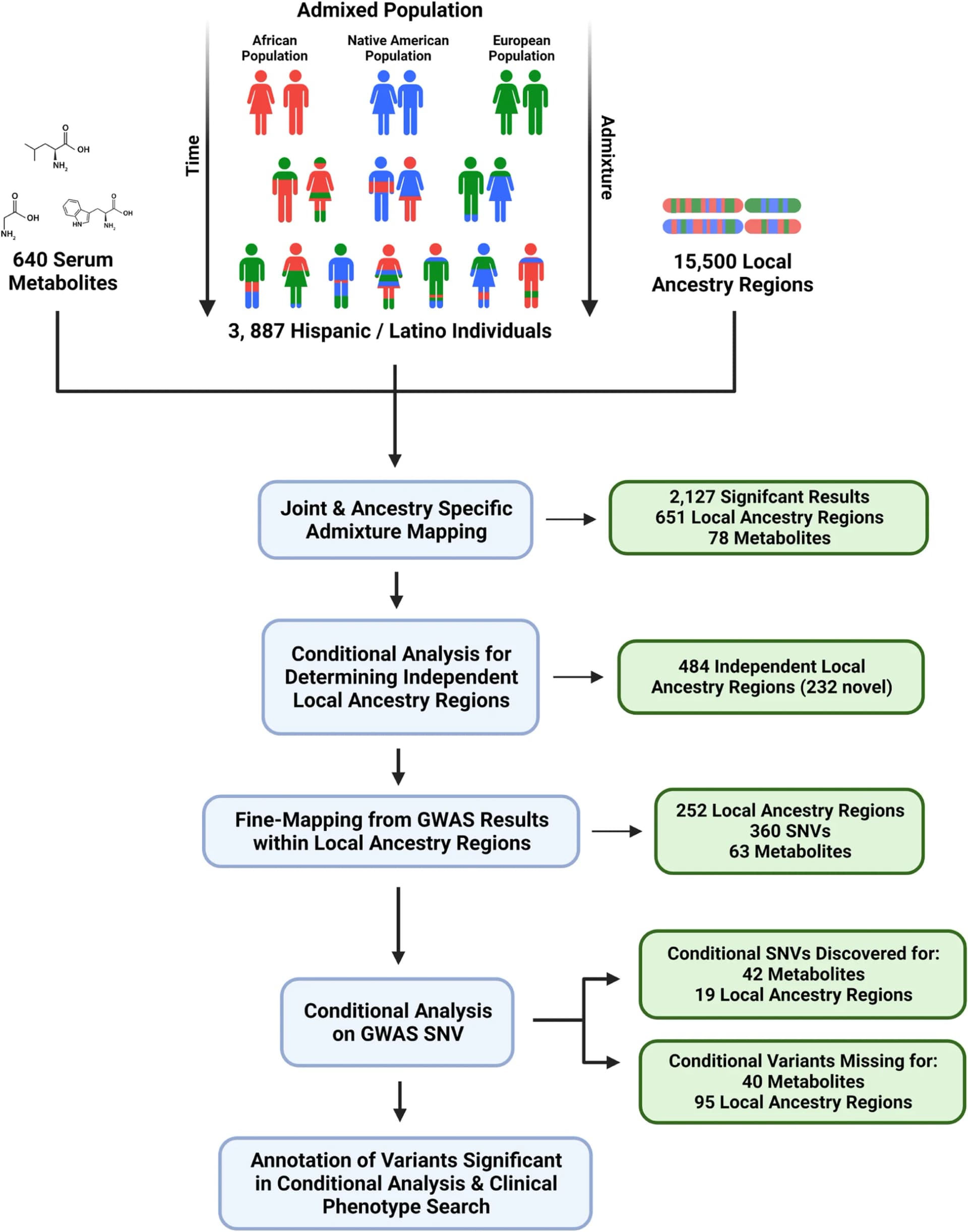 Open access visualization of Workflow, Illustration, Study Design, Hispanic/Latino Populations, Admixture Mapping