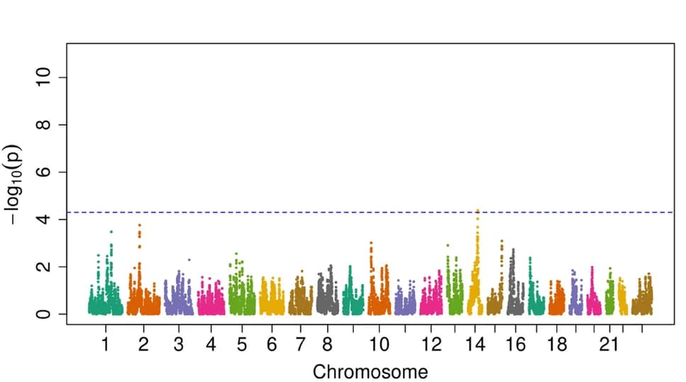Open access visualization of Manhattan Plot, SNV rs72903325, Admixture Mapping, 2-Aminooctanoic Acid