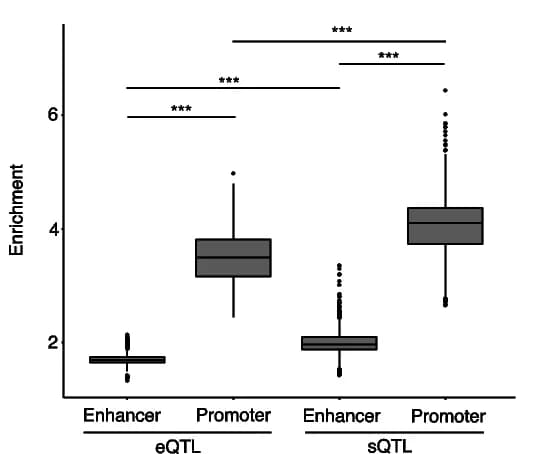Open access visualization of Box Plot, eQTL variants, sQTL variants, Enhancers, Promoters