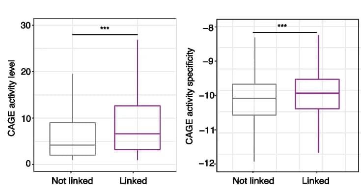 Open access visualization of Box Plot, CAGE activity, CAGE specificity, Promoters, Enhancers