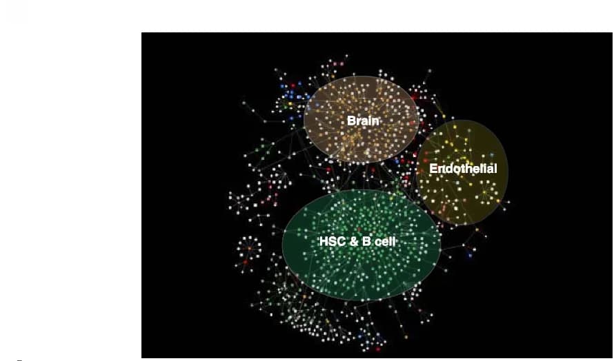Open access visualization of Network, Pathway, EPIs, Cell Types, Tissue Types