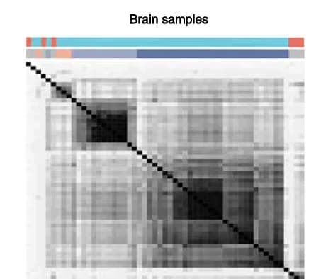 Open access visualization of Heatmap, TF Binding, Enhancers, Tissue-Specific Activity, Stage-Specific Activity