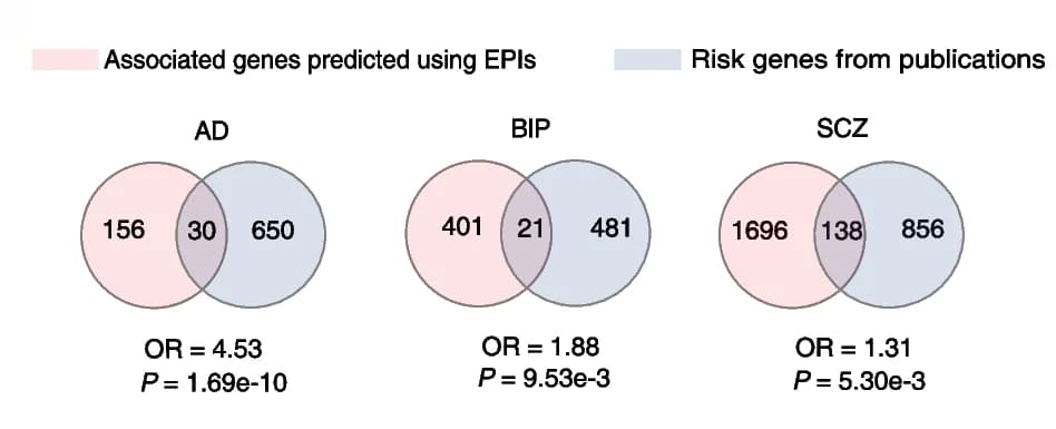 Open access visualization of Venn Diagram, Alzheimers Disease, Bipolar Disorder, Schizophrenia, EPIs
