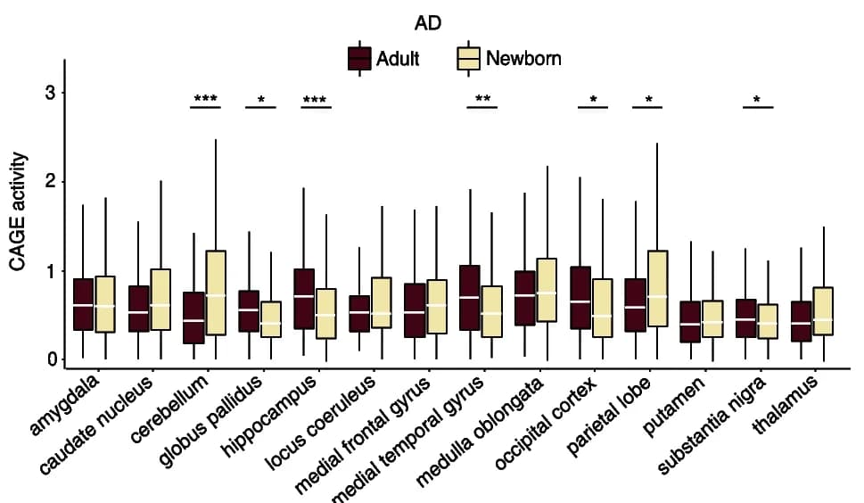 Open access visualization of Box Plot, CAGE activity profiles, Alzheimer’s Disease, Brain Regions, Gene Expression