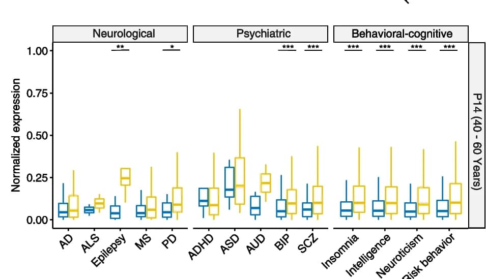 Open access visualization of Box Plot, Gene Expression Profiles, Brain Disorders, Cognitive Phenotypes, Adult Stage