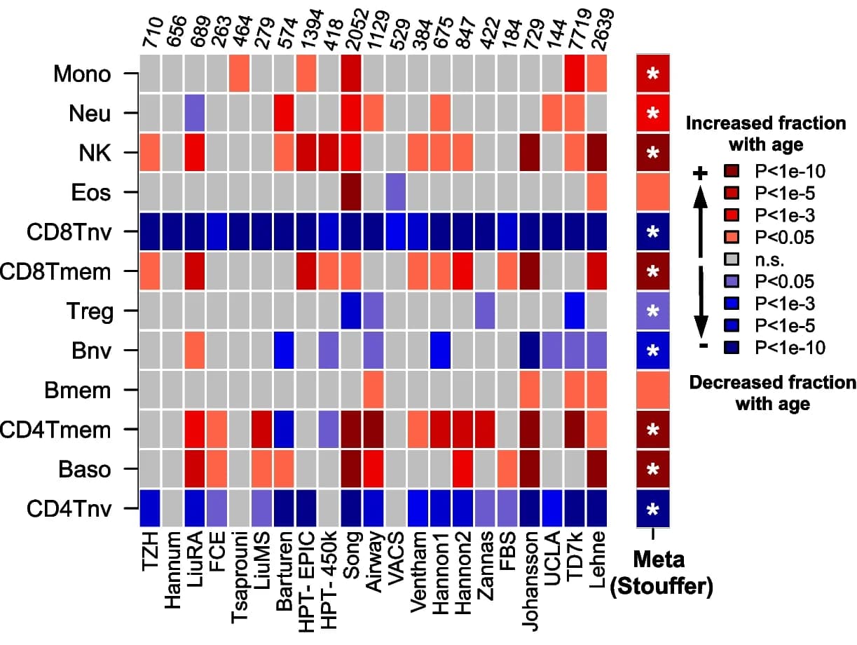 Open access visualization of Heatmap, Blood Cell-Type Fractions, Age, Cohorts, Multivariate Regression
