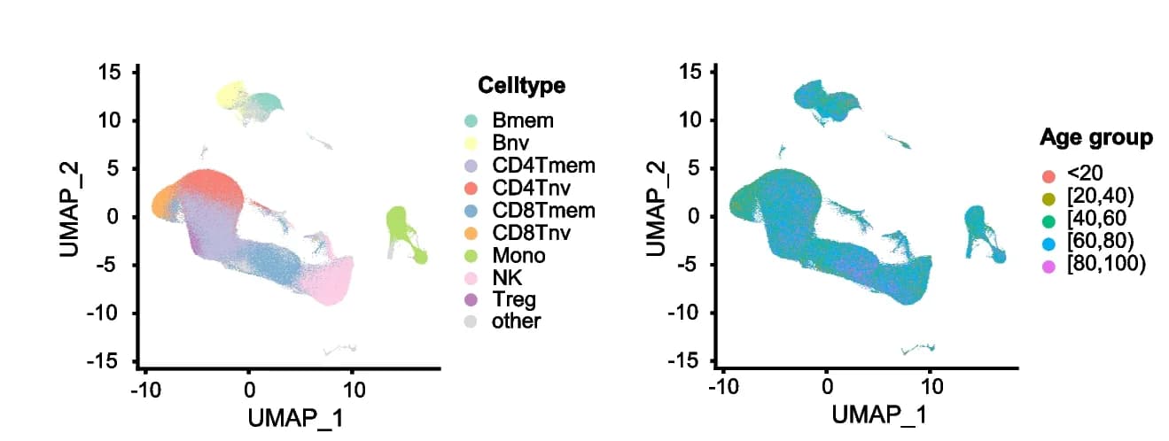 Open access visualization of UMAP, Scatter Plot, UMAP Plots, scRNA-Seq Data, PBMCs