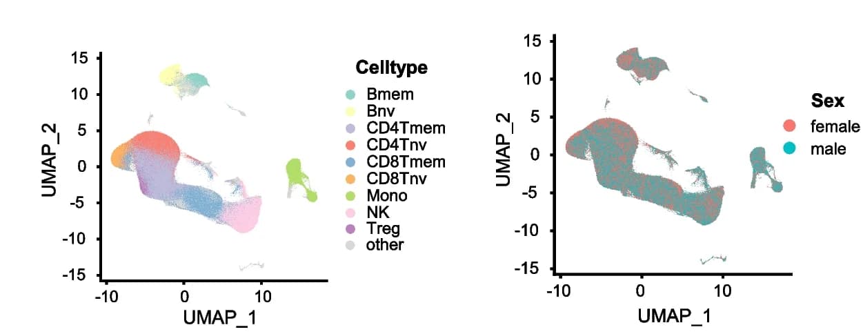 Open access visualization of UMAP, UMAP Plots, scRNA-Seq Data, PBMCs, Donors