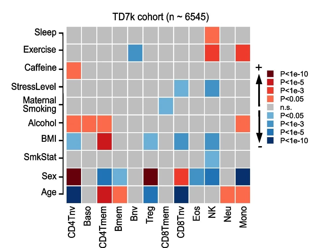 Open access visualization of Heatmap, Immune-cell fractions, Epidemiological factors, TD7k cohort, Multivariate linear regression