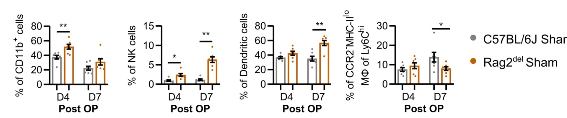 Open access visualization of Bar Plot, Error Bars, Cell Percentage, Steady State, Sham Groups