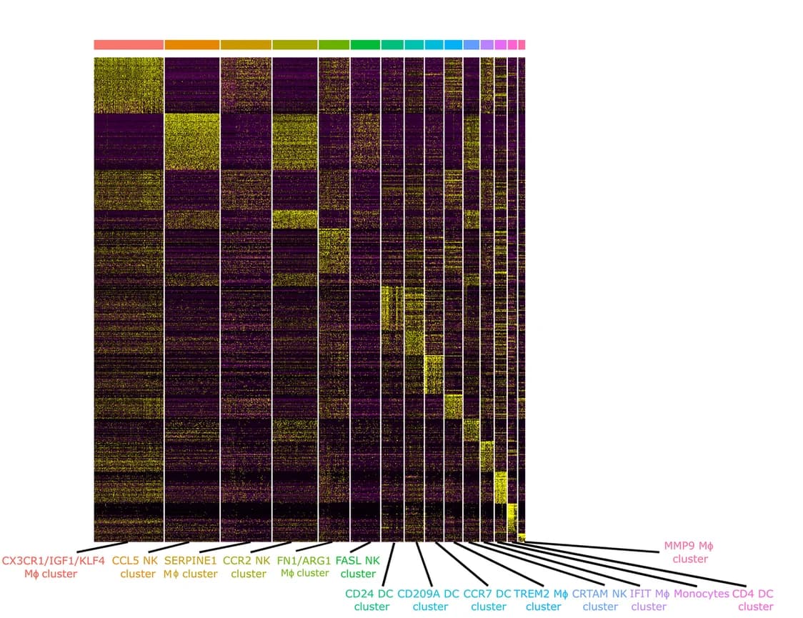 Open access visualization of Heatmap, Cluster-Defining Genes, Similarity Score, Immune Cell Populations, ImmGen Repository