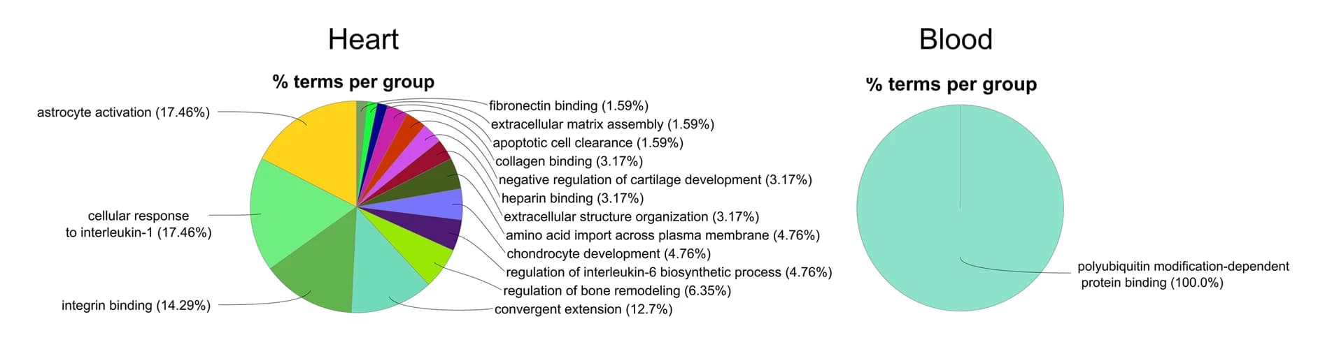 Open access visualization of Pie Chart, GO enrichment analysis, Differentially expressed targets, Heart, Blood