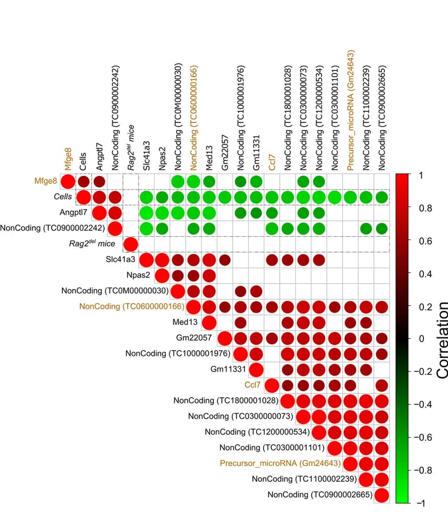 Open access visualization of Bubble Plot, Differentially Expressed Transcripts, Random Forest Algorithm, Cell Transplantation, Targets