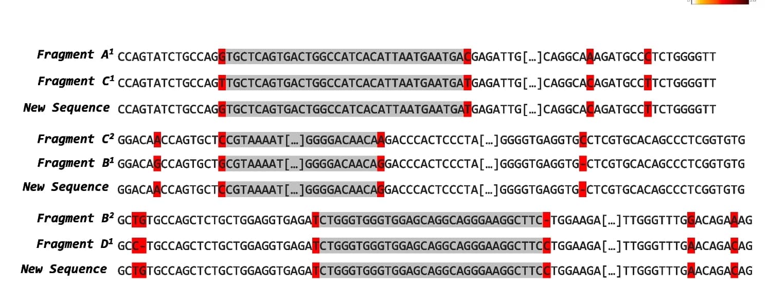 Open access visualization of Illustration, Xdrop, ONT long-read sequencing, Nucleotides, Breakpoint regions