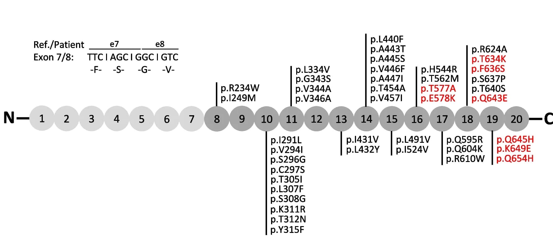 Open access visualization of Illustration, Hybrid Gene, Breakpoint Region, Genomic Sequence, Exon