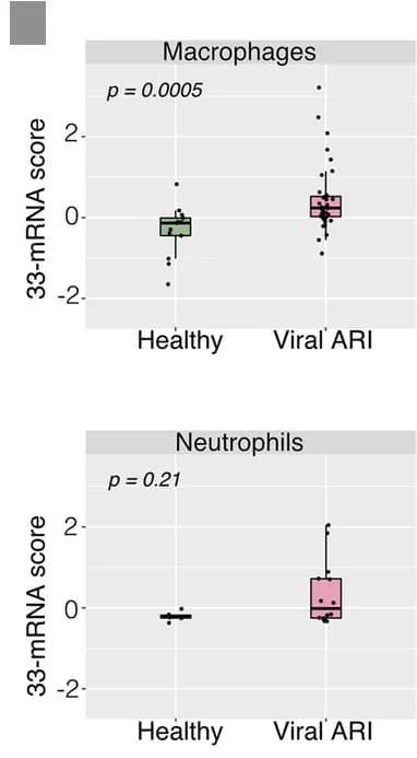 Open access visualization of Box Plot, Scatter Plot, Boxplots, 33-mRNA score, Macrophages